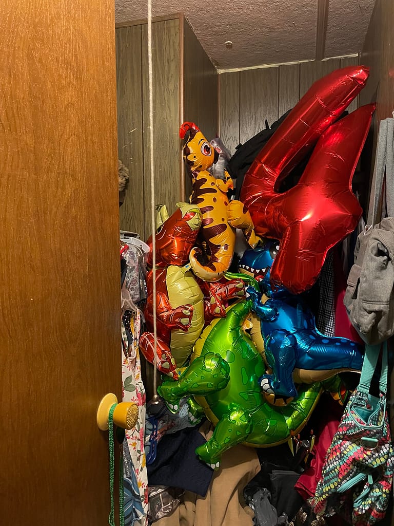 dinosaur shaped balloons in a closet